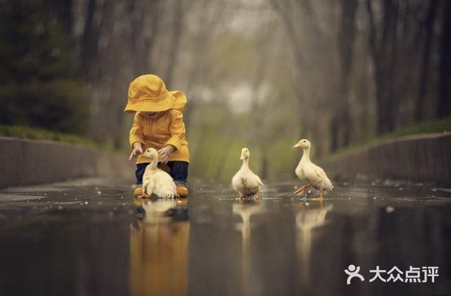 [糖果]让镜头记录孩子的美好瞬间[吐]