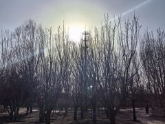 -坝河休闲公园