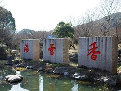 -香雪海