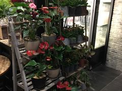 -豆豆花艺(新光天地店)