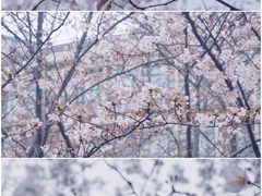 -江南大学(蠡湖校区)