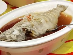 -金狮麟·新豫菜(金码大厦店)