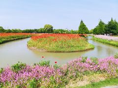-花开海上生态园