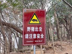 -紫金山山顶公园