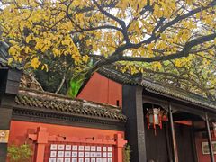 -成都武侯祠博物馆