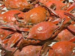 -海铺·渔家虾水饺(皇姑店)