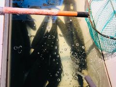 -新记印象酸菜鱼馆(天阳亲子广场店)