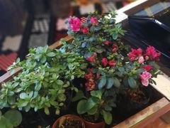 -蘭奢雅集·江浙菜(青山江滩店)