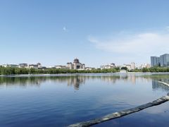 -莲花池公园