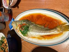 油泼黄花鱼-波螺油子青岛本帮菜(银座店)