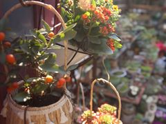 -老洋房花园饭店(绍兴路店)