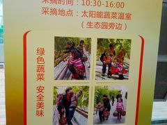 -上海鲜花港