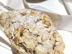 -TD66高山铁皮石斛养生茶饮