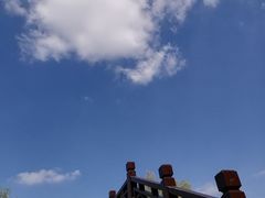 -南湖湿地公园