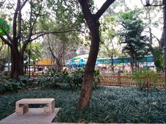 -晓港公园