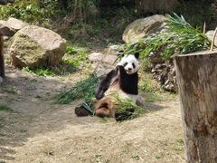 -宁波野生动物园