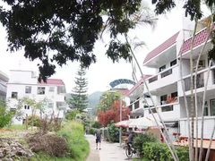 -南丫岛