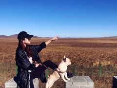 -塞罕坝国家级自然保护区