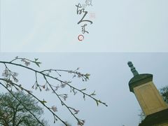 -西安青龙寺遗址景区