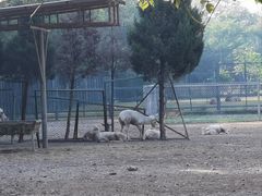 -北京麋鹿生态实验中心