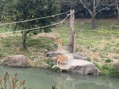 -宁波野生动物园