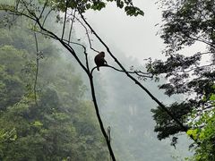 -三峡人家风景区