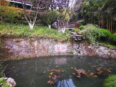 -十八棵（老龙井）御茶园(老龙井店)