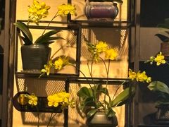 -街角 T·COFFEE 融合料理·BISTRO(车公庙店)