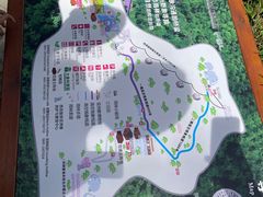 -野象谷景区