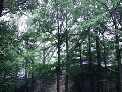 -阳台山自然风景区