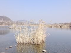 -河口景区