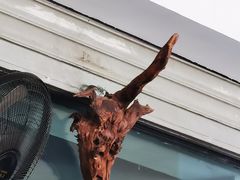 -祖传曾羊肉饭店
