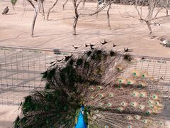 -宿豫区运河湾森林动物园