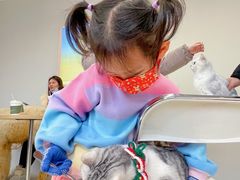 -怪兽屋·羊驼·猫咖·狗咖(俊华广场店)