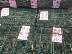水产区-荔城生鲜盛宴(番禺旗舰店)