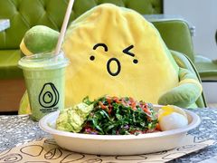 -油梨树AVOCADO TREE(望京店)