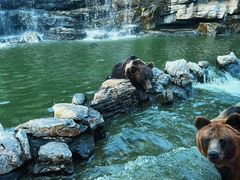 -北京野生动物园