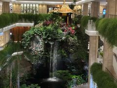 -广州白天鹅宾馆