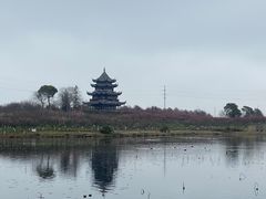 -上海海湾国家森林公园