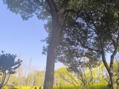-上海交通大学(闵行校区)