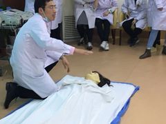 -上海和平眼科医院