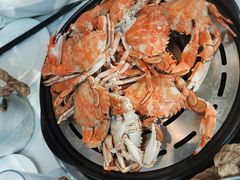 -半岛听涛蒸汽海鲜自助(K11店)