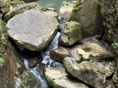 -鹿院坪生态旅游景区