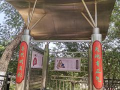 -桃花堤公园