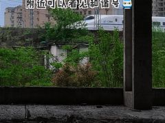 -张之洞与武汉博物馆