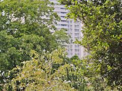 -荔湾湖公园