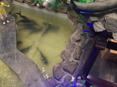 -春盛渔府(牛首山店)