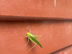 -终南山南五台景区