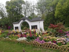 -上海共青森林公园