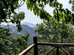 -大岭沟猕猴桃谷风景区